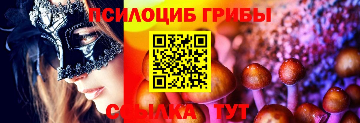 Галлюциногенные грибы Psilocybine cubensis Семилуки